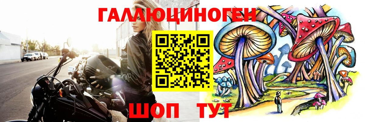 Советск  Псилоцибиновые грибы MAGIC MUSHROOMS  Вход с VPN  Псилоцибиновые грибы прущие грибы 